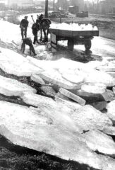 Eisernte
