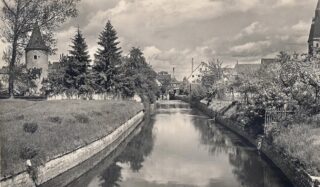 Sulz nach der Regulierung